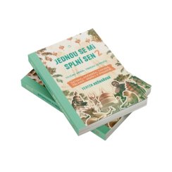 Kniha - Jednou se mi splní sen 2