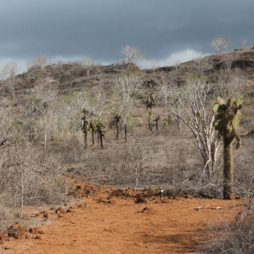Cestovatelská přednáška - Galapágy