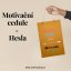 Motivační cedule Hesla Motivační cedule Hesla